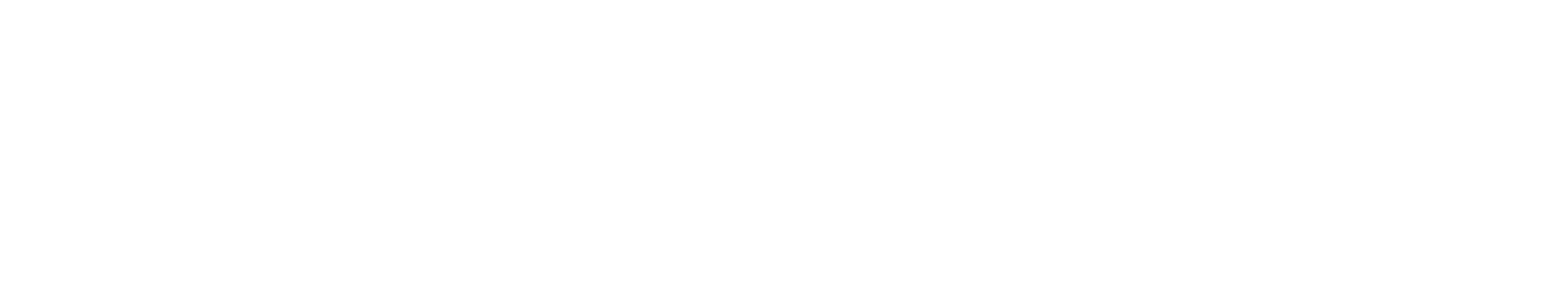 Nashskin Skin White logo